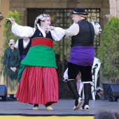 Festival de Danses