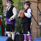 Festival de Danses