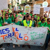 Concentración del sector educativo