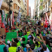 Concentración del sector educativo