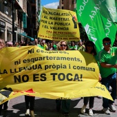 Concentración del sector educativo