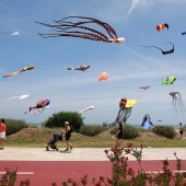 Festival Internacional del Viento