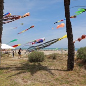 Festival Internacional del Viento