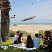 Festival Internacional del Viento