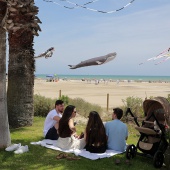 Festival Internacional del Viento