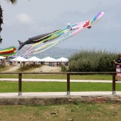 Festival Internacional del Viento