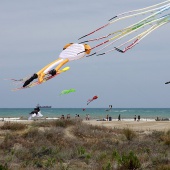 Festival Internacional del Viento