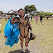 Festival Internacional del Viento