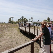Festival Internacional del Viento