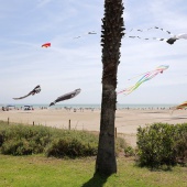 Festival Internacional del Viento