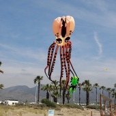 Festival Internacional del Viento