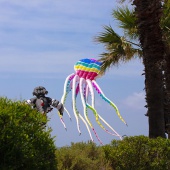 Festival Internacional del Viento