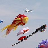 Festival Internacional del Viento
