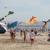 Festival Internacional del Viento
