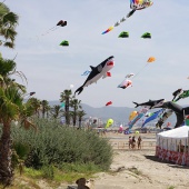 Festival Internacional del Viento