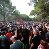 Concerts del Pinar 2026