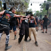 Concerts del Pinar 2026