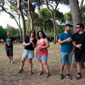 Concerts del Pinar 2026