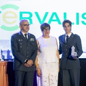 Premios Faro