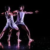 XXVI Cita con la danza