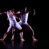XXVI Cita con la danza