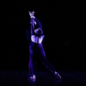 XXVI Cita con la danza