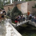 Castellón, Homenatge a Tombatossals