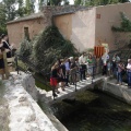 Castellón, Homenatge a Tombatossals