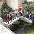 Castellón, Homenatge a Tombatossals