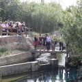 Castellón, Homenatge a Tombatossals