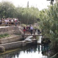 Castellón, Homenatge a Tombatossals