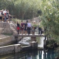 Castellón, Homenatge a Tombatossals