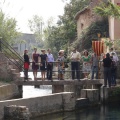 Castellón, Homenatge a Tombatossals