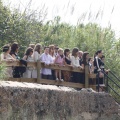 Castellón, Homenatge a Tombatossals