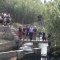 Castellón, Homenatge a Tombatossals