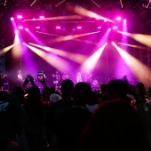 FIB 2026