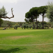 Golf Cup Empresas – Cámara de Comercio Castellón
