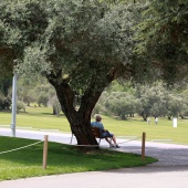 Golf Cup Empresas – Cámara de Comercio Castellón