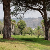 Golf Cup Empresas – Cámara de Comercio Castellón