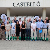 Castellón, 2026