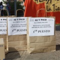 Castellón, El VI Gran Premio 42 y Pico Ciudad de Castellón.