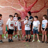 Castellón, 2026