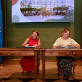 Tejido cultural de Castellón
