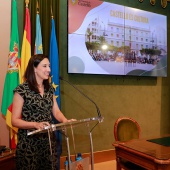 Tejido cultural de Castellón
