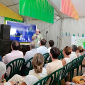 Castellón, Benicàssim 2026