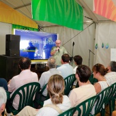 Castellón, Benicàssim 2026