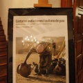 Castellón, Safane exposición