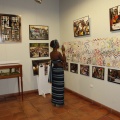 Castellón, Safane exposición