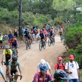 Castellón, 2026