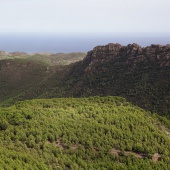 Castellón, 2026